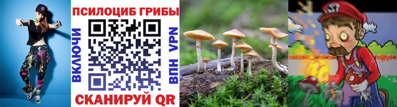 Псилоцибиновые грибы GOLDEN TEACHER  Новохопёрск 